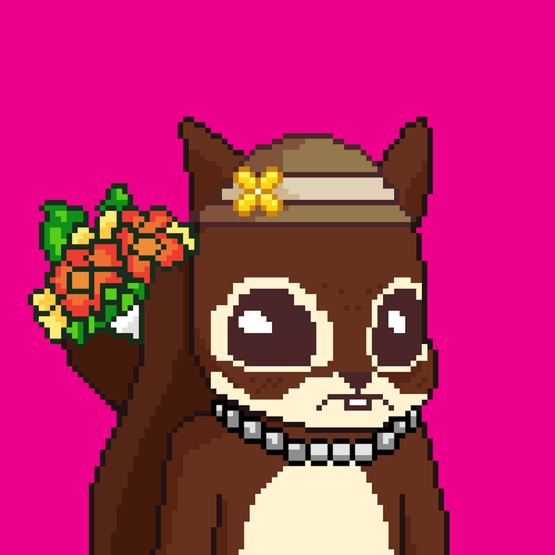 Pixel Squirrels #7722